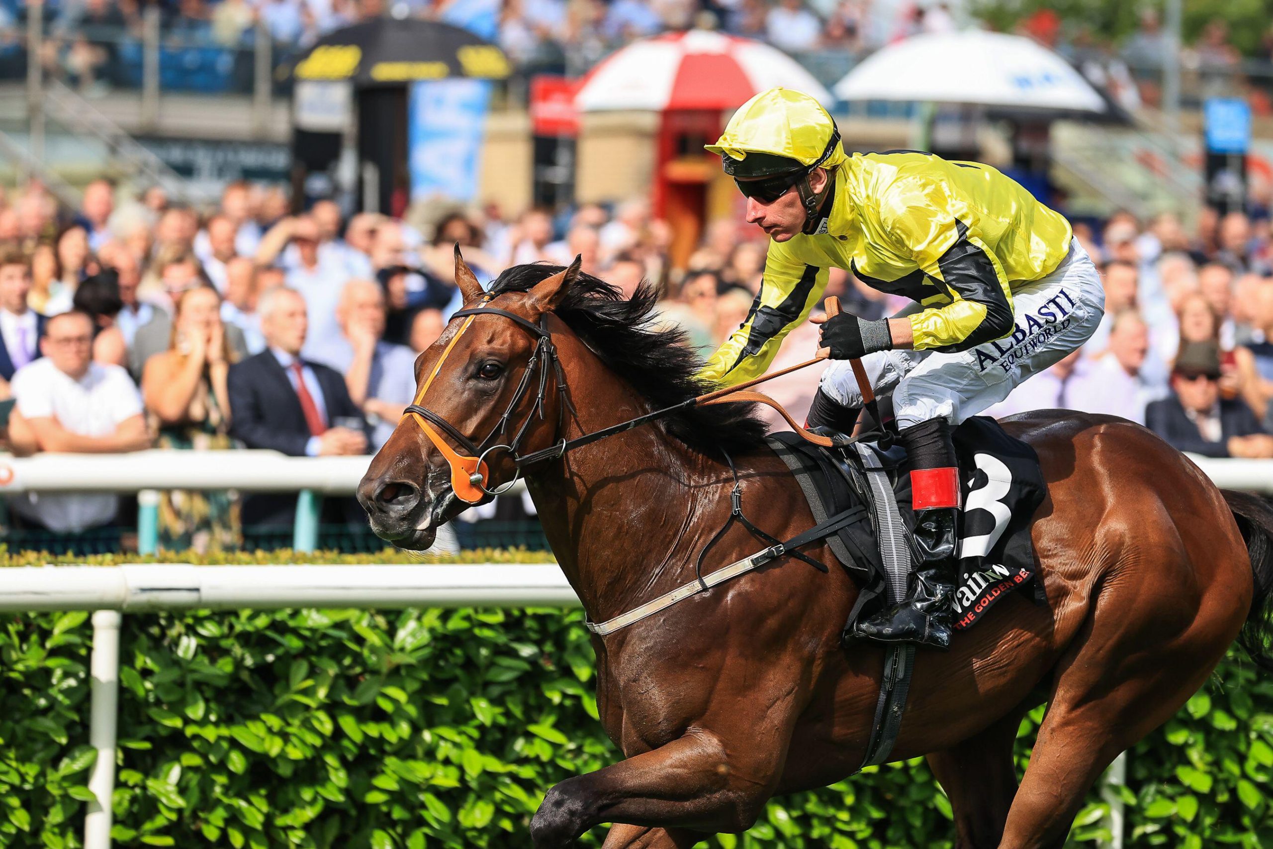 No. 3 Caturra ridden by Adam Kirby wins the Wainwright Flying Childers Stakes