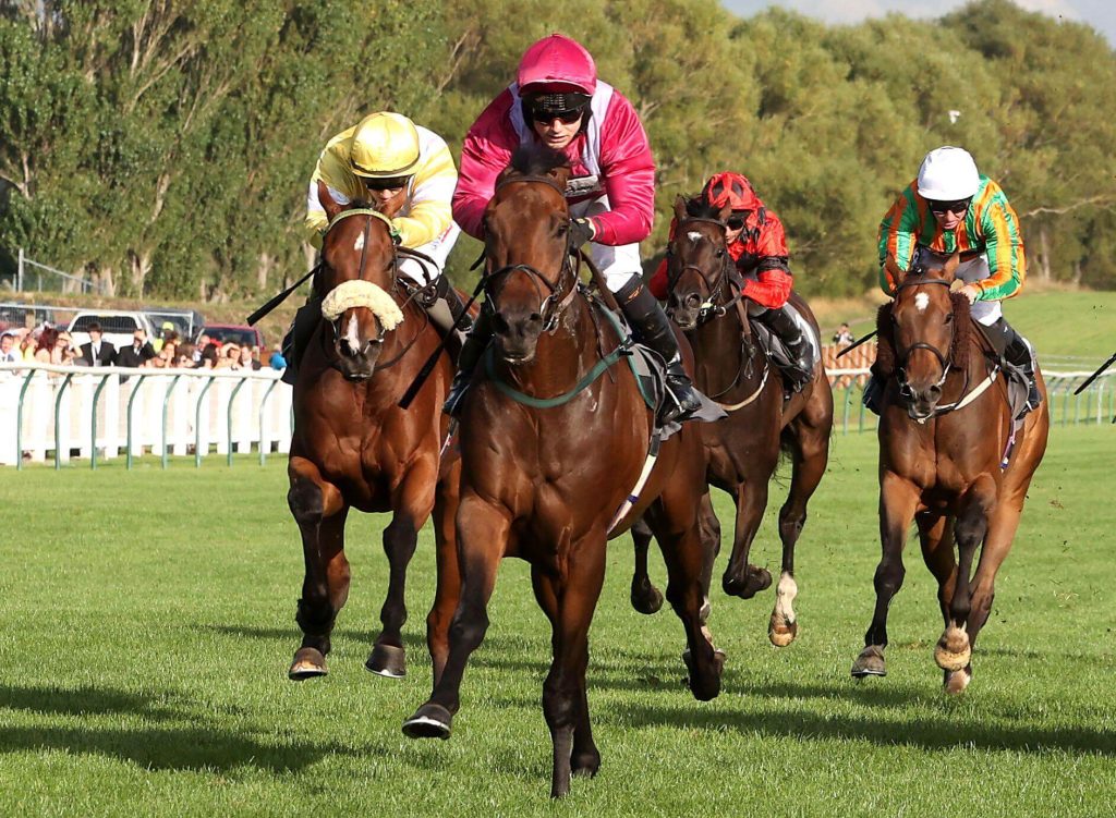 Titan Rock ridden by jockey Jason Hart wins the Download The Gribbens Taxi App Now Handicap during the Virgin Bet Ayr Gold Cup at Ayr Racecourse, Ayr. Picture date: Saturday September 18, 2021.