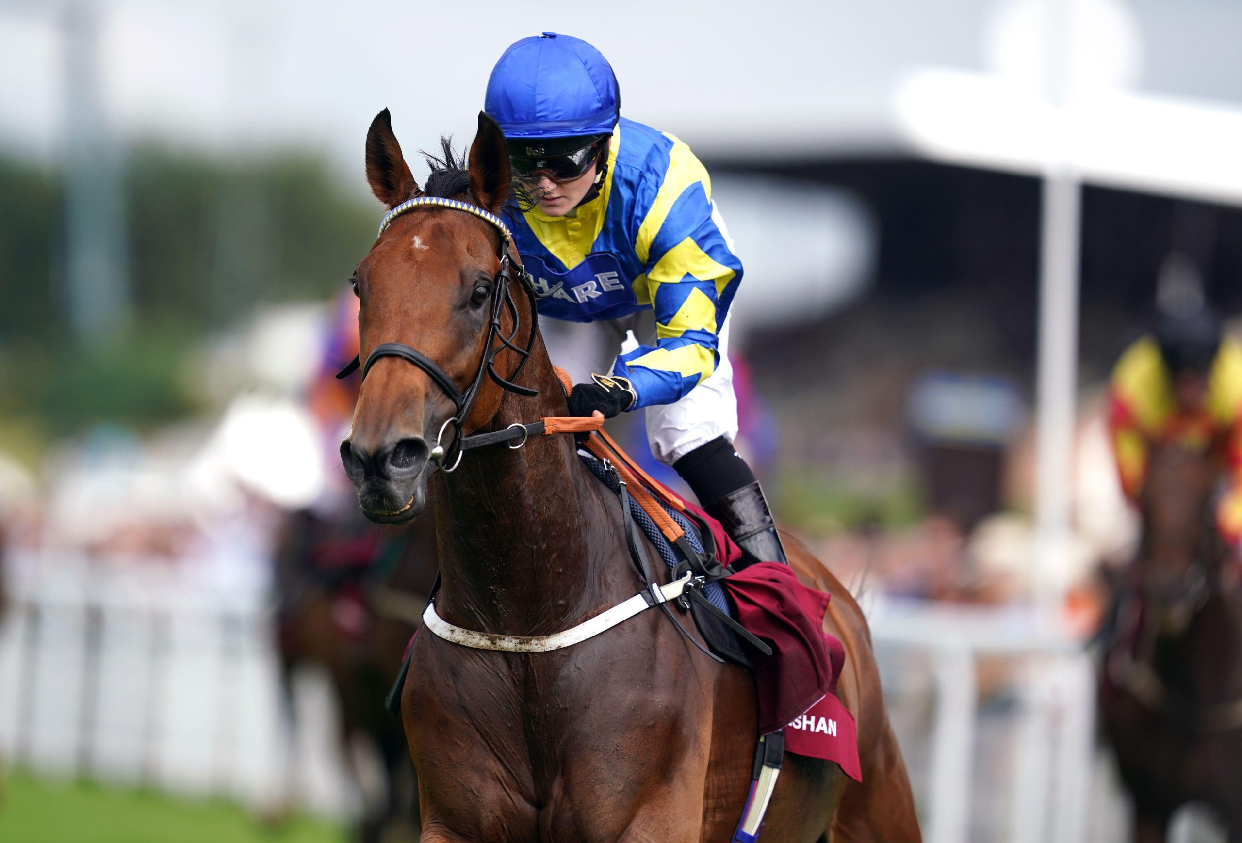 Trueshan Goodwood Cup 2021