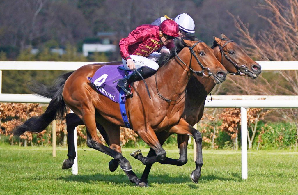 Piz Badile ridden by Gavin Ryan wins The P.W. McGrath Memorial Ballysax Stakes (Group 3) during the Ballyinch Stud Classic Trials Day at Leopardstown Racecourse, Dublin. Picture date: Saturday April 2, 2022.