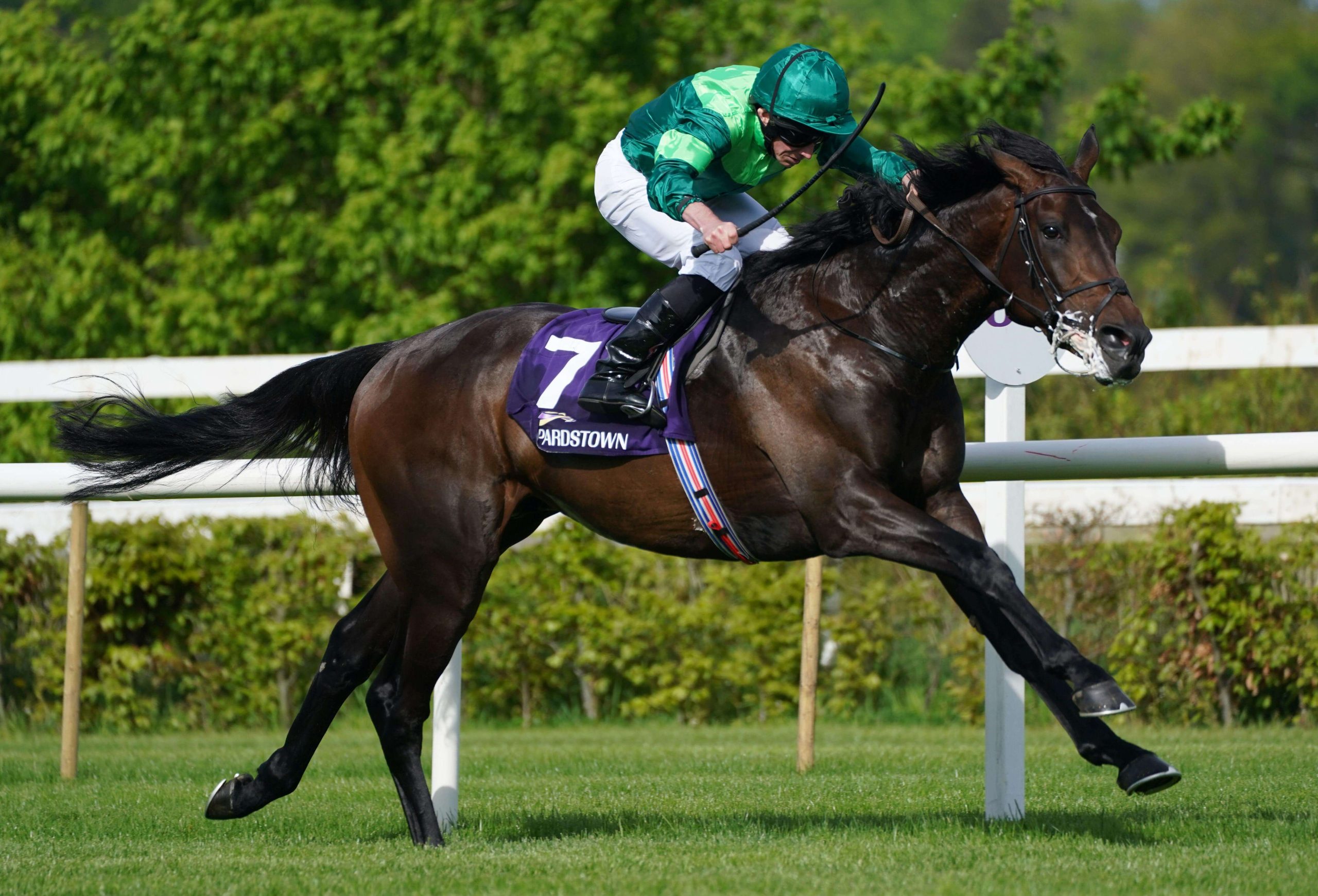 Stone Age ridden by Ryan Moore on their way to win the Derby Trial Stakes race during Derby Trial day at Leopardstown racecourse, Dublin. Picture date: Sunday May 8, 2022.