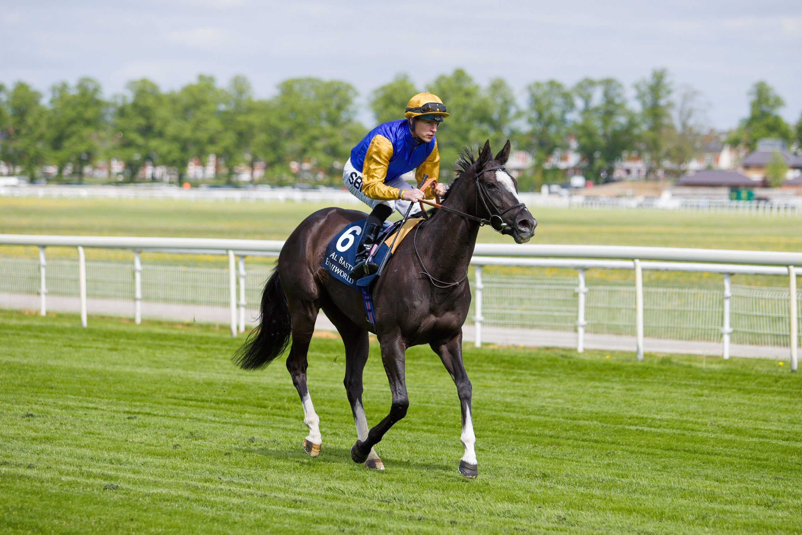 Wednesday Lucky 15 Tips. Richard Kingscote can get amongst the winners at Lingfield on Wednesday with Under The Twilight.