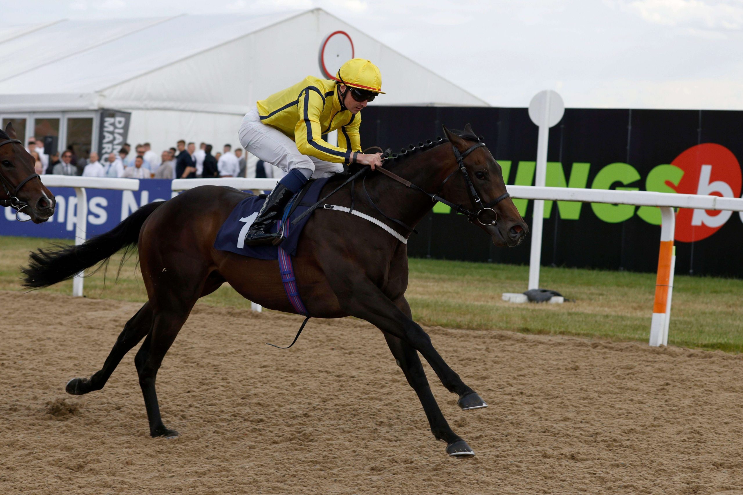 All-Weather Angles. Oisin Orr is back aboard course specialist Engles Rock at Newcastle on Wednesday.