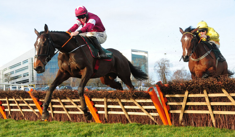 Gigginstown Cheltenham Festival runners. Abacadabras is set to carry the famous silks in the Champion Hurdle.