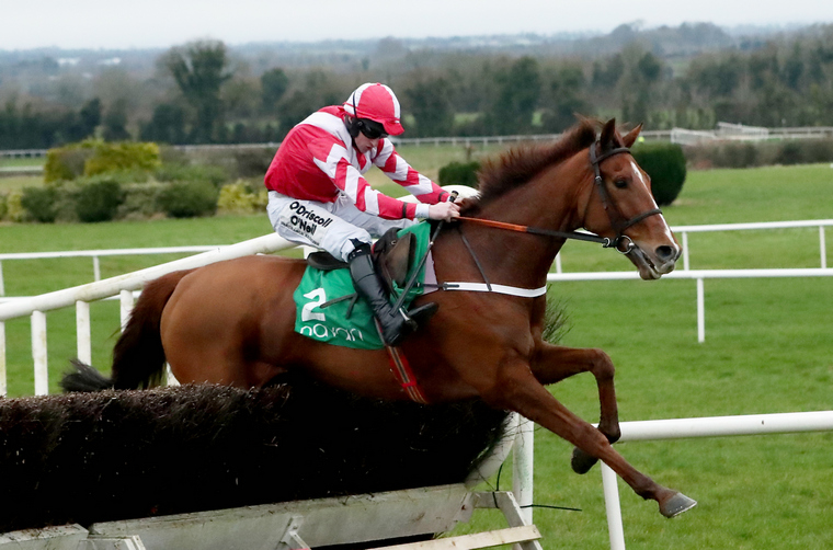 Saturday Fairyhouse tips. Acapella Bourgeois can win a second Bobbyjo Chase.