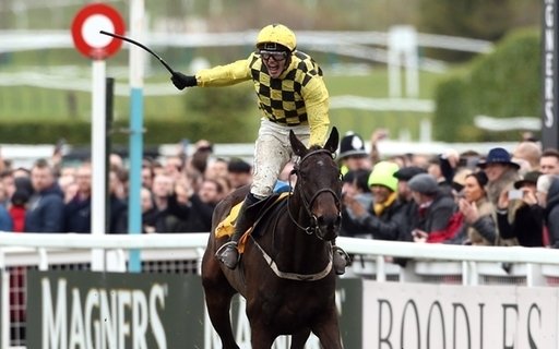 Willie Mullins Cheltenham runners. All eyes will be on Al Boum Photo and his bid for a third Gold Cup success on Festival Friday.