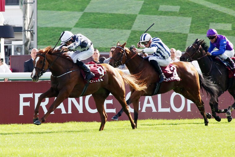 Saturday Irish racing best bets. Albigna can get back to winning ways at Tipperary.