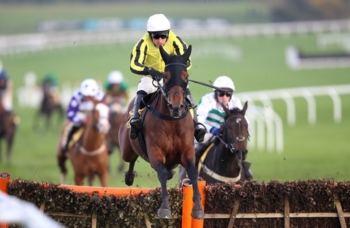 Dan Skelton Cheltenham Festival runners. Can Allmankind win the Arkle Chase?