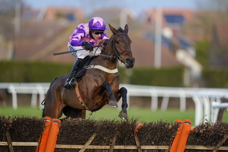 Cheltenham Friday tips. Annual Invictus can strike at Cheltenham for trainer Chris Gordon.