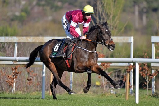 Apple's Jade features in our Thursday best bets at Gowran Park.