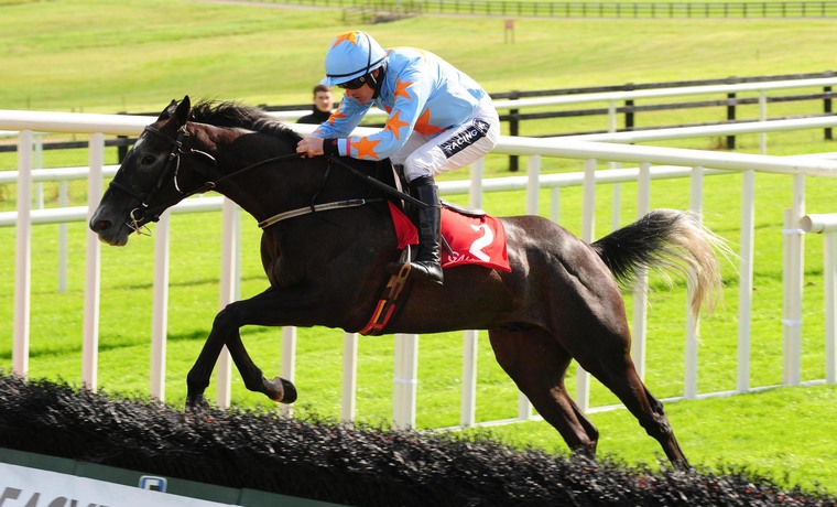Willie Mullins Cheltenham runners.  Bachasson could be lined up for a tilt at the Stayers' Hurdle.