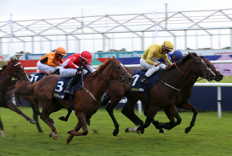 Newmarket day one tips. Martyn Meade's Bake (yellow colours) can land a hat-trick of victories on Thursday.