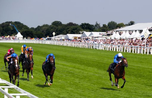 Can Barney Roy win at Meydan on Thursday?