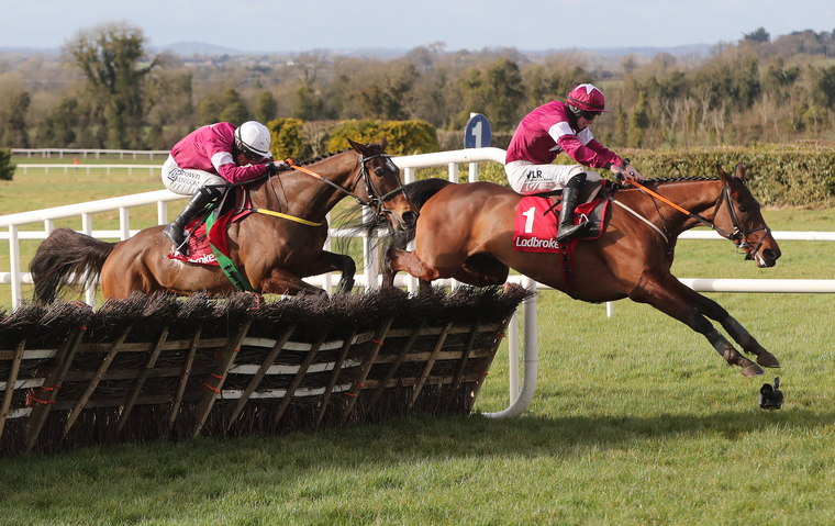 Noel Meade 2021 Cheltenham Festival team. Beacon Edge (left) jumped into the Stayers' Hurdle picture when winning the Boyne Hurdle.