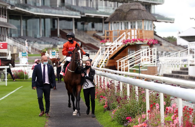 Wednesday UK racing tips. Black Lotus can get back to winning ways at Ayr.