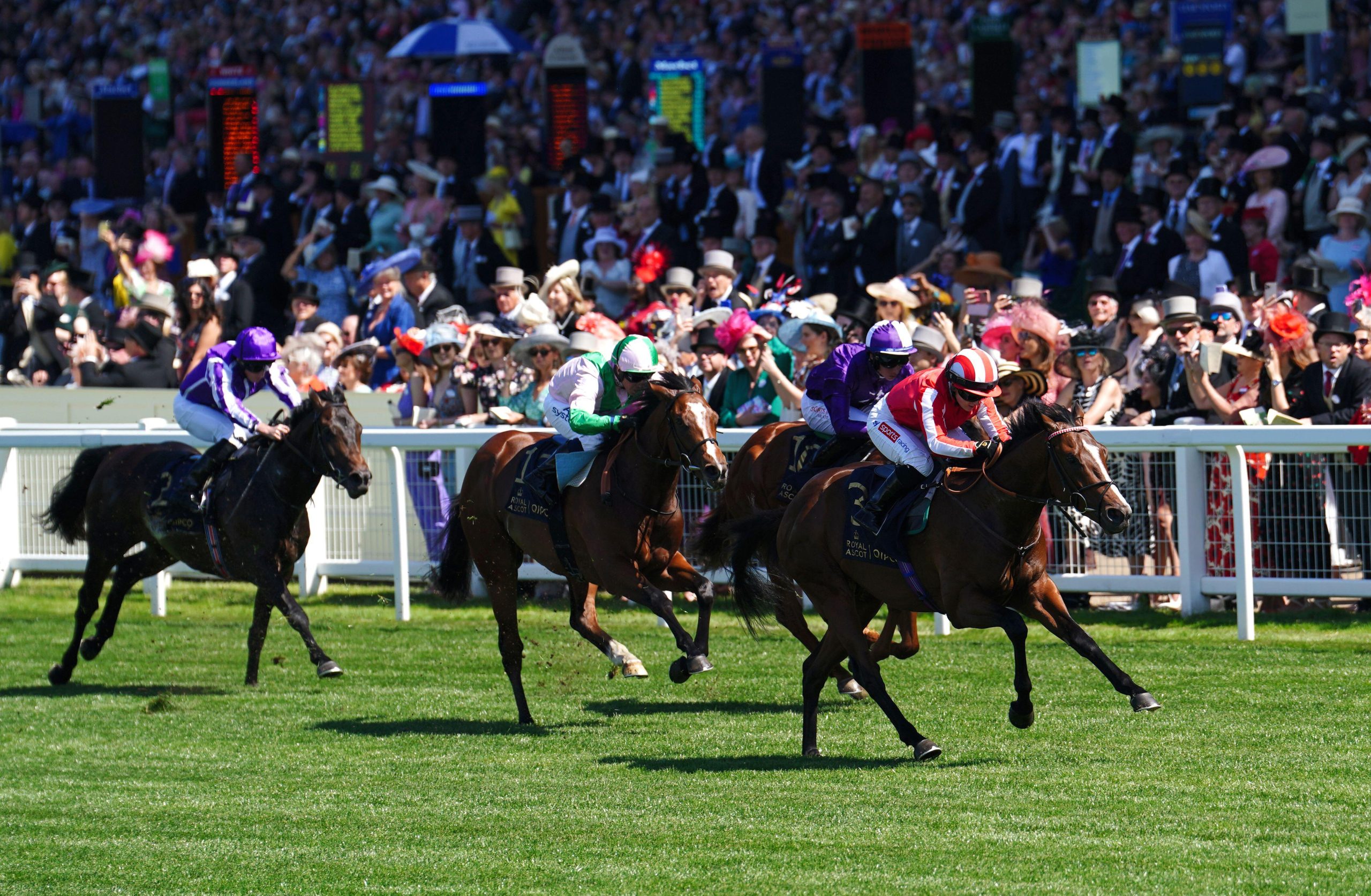 ITV Racing Tips. Royal Ascot winner Bradsell looks good value to claim the Group 1 Phoenix Stakes at the Curragh.