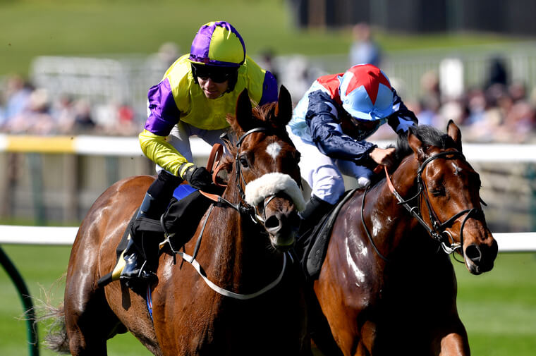 Brando can win again at Newmarket.