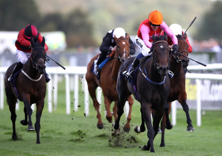 Breathtaking Look will contest the Hungerford Stakes on Saturday at Newbury.