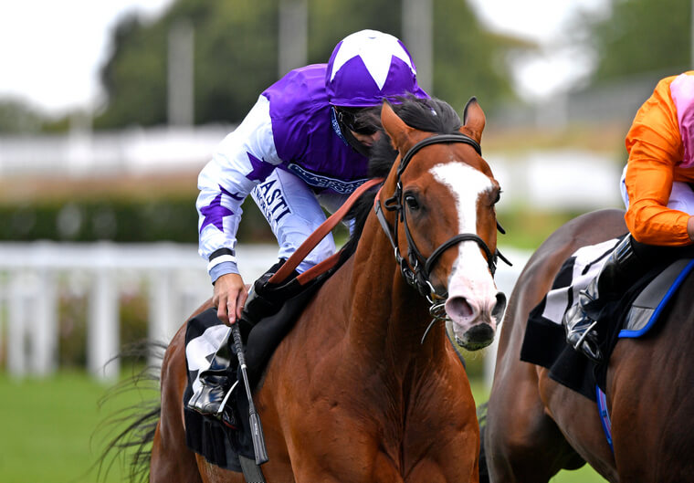 Horse racing tips for Saturday. Calling The Wind can land a valuable pot at Newmarket by winning the Cesarewitch for trainer Richard Hughes.