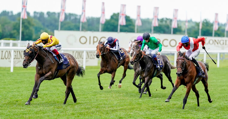 Breeders Cup tips for Friday. Wesley Ward's Campanelle can uphold her perfect record.