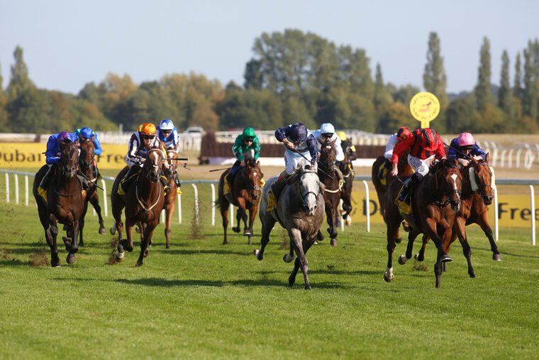 Caradoc can win Saturday's TV finale at Ascot.