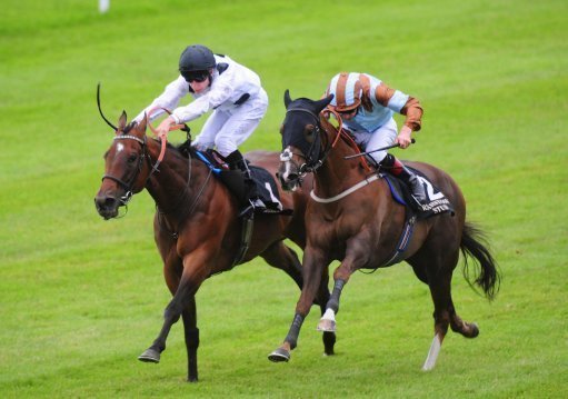 Best bets at Salisbury and Doncaster. Veteran sprinter Caspian Prince (right) can get back on the winning trail.