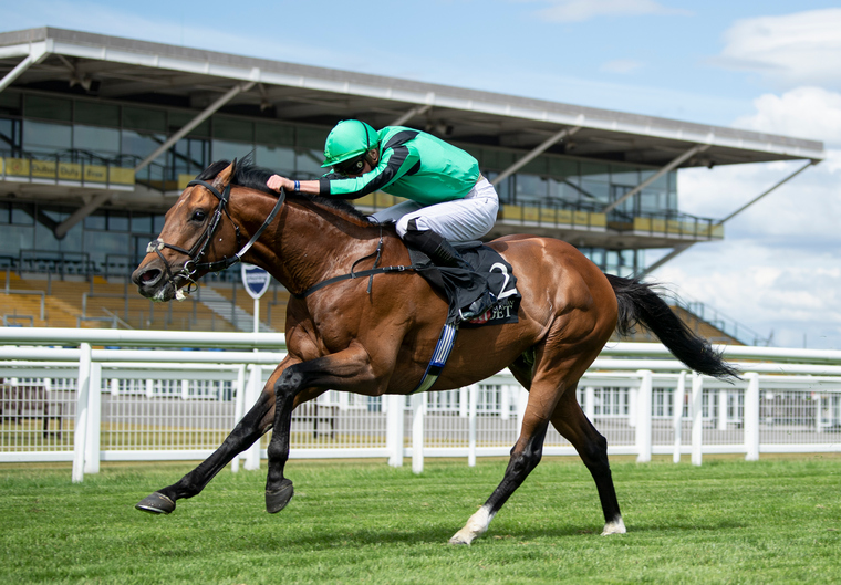 Century Dream can win the feature Celebration Mile for Simon Crisford and James Doyle.