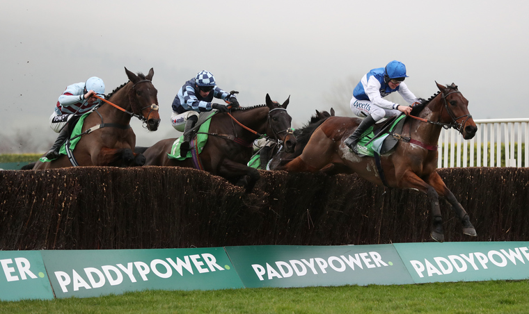 Saturday live TV tips. Cepage can win the Caspian Caviar Gold Cup for trainer Venetia Williams.