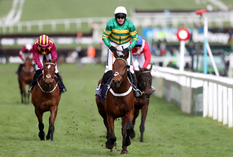 2021 Cheltenham Festival bets. Champ looks to hold solid claims of giving Nico De Boinville a Gold Cup winner.