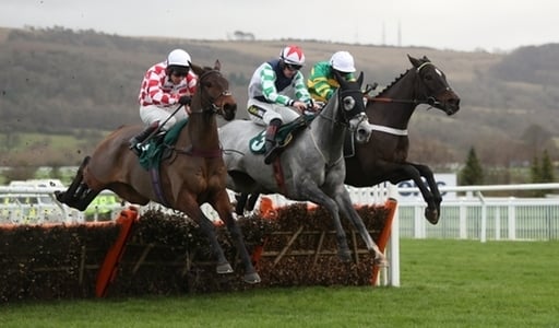 JP McManus Cheltenham Festival team. Chantry House (right) could contest the Marsh Novices' Hurdle.
