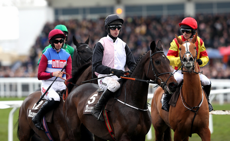 Henry de Bromhead Cheltenham Festival runners. Can Chris's Dream bounce back to winning form in the Ryanair Chase?