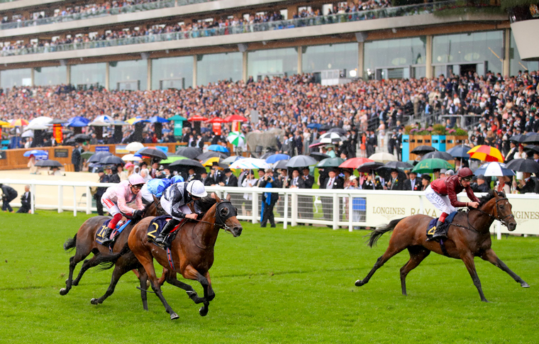 King Of Comedy running at Ascot