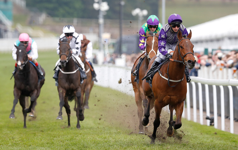 Saturday horse racing best bets. Copper Knight can get back to winning ways at Haydock having gone close last time.