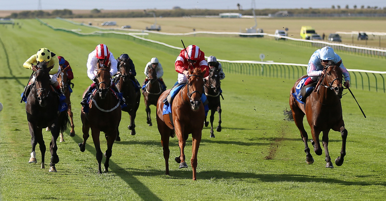 Daahyeh winning at Newmarket