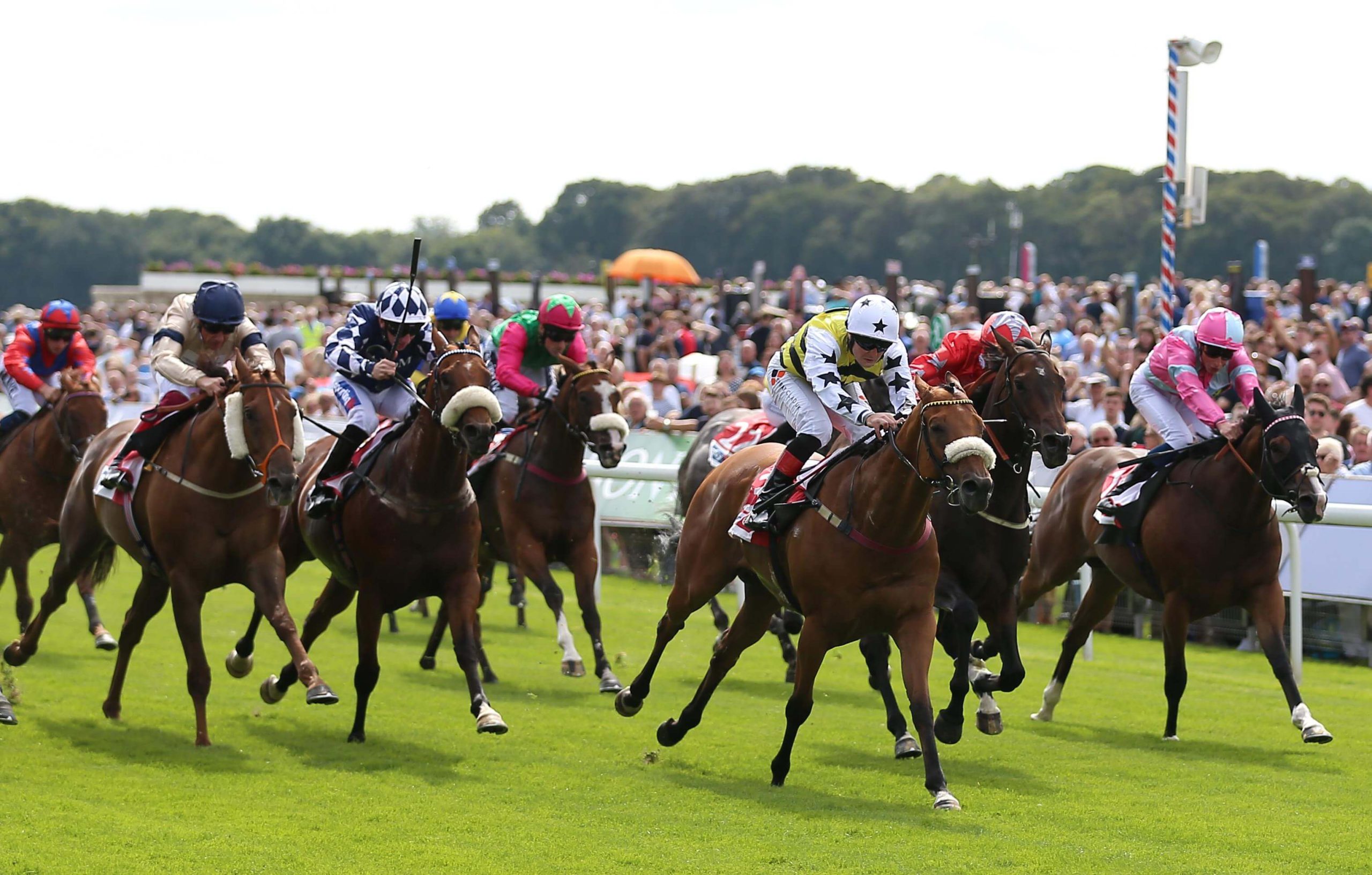 Saturday UK racing tips. Dakota Gold can bounce back to winning form in the Beverley Bullet.