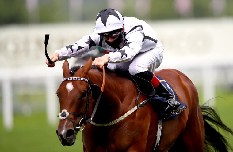 Horse racing best bets. Dandalla can get back to winning ways at Haydock.