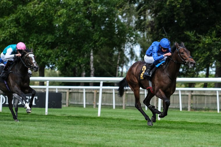 Danilova can run a big race in Saturday's Sweet Solera Stakes.