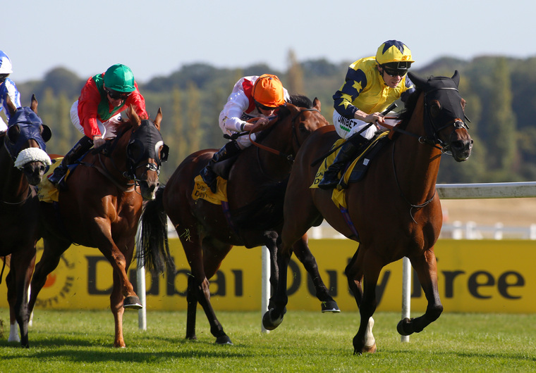 Saturday UK racing tips. Desert Encounter can get back on the scoresheet at Windsor.