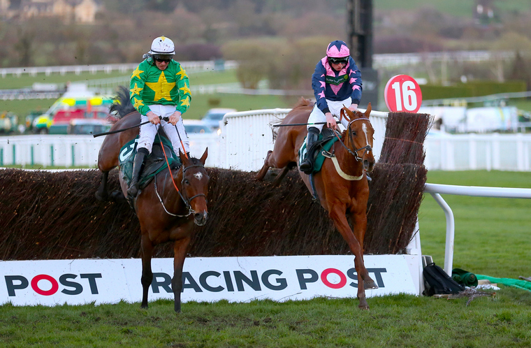 Tuesday horse racing tips. Discorama can gain a deserved Cheltenham Festival success.