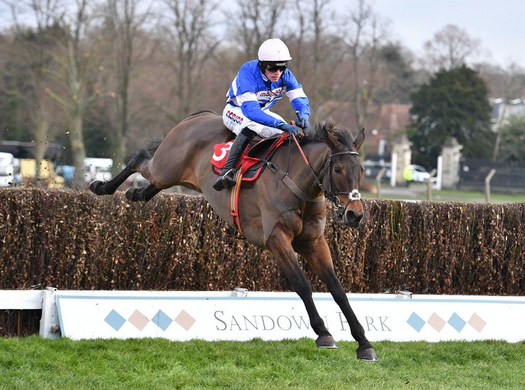 Peterborough Chase tips. Dolos will bid to give trainer Paul Nicholls a first win in the race.