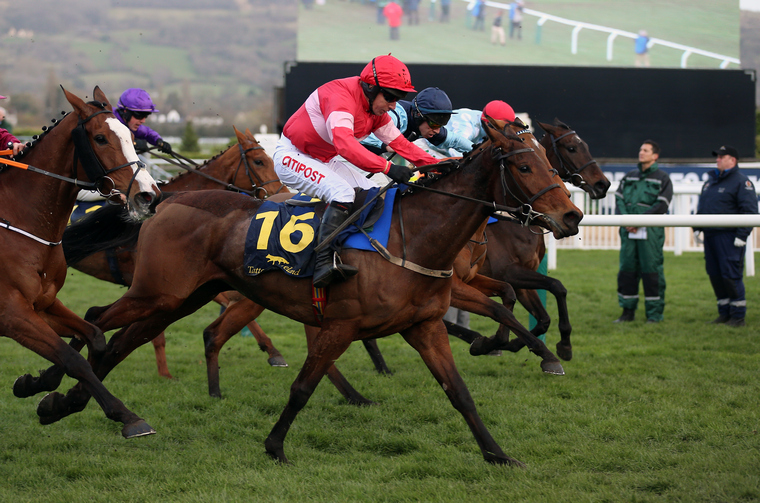 2021 Cheltenham Festival tips. Eglantine Du Seuil could be a big priced winner of the Mares' Hurdle for trainer Paul Nicholls.