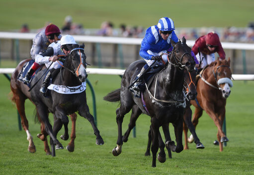 Elarqam can win at Haydock