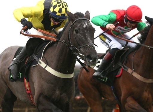 Colin Tizzard Cheltenham Festival runners. Could Elixir De Nutz make his presence felt in the Arkle?