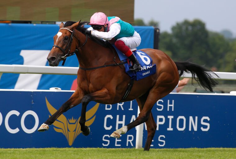 Enable makes her final UK racecourse start at Kempton on Saturday and faces a simple task.