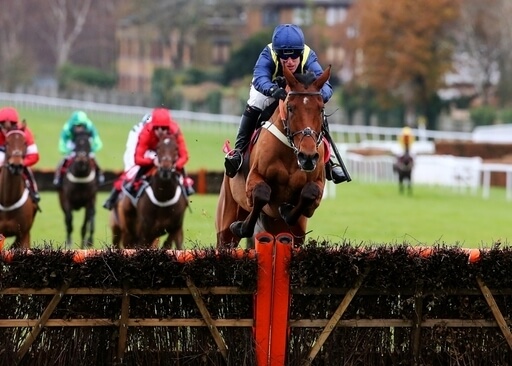 Cheltenham Festival Tuesday tips. Fiddlerontheroof can win the Supreme Novices' Hurdle.