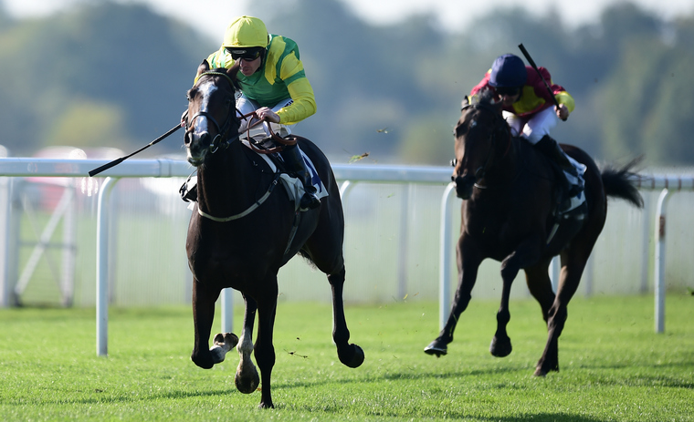 All-weather Thursday racing tips. Fighting Temeraire can strike at Chelmsford.