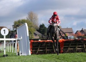 Fil Dor: Clear Triumph Hurdle favourite for Elliott on the Friday of the Festival.