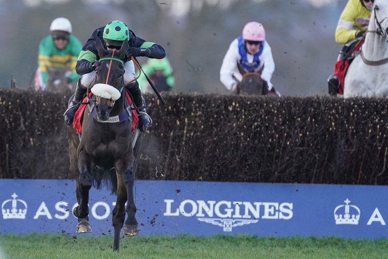 Kim Bailey Cheltenham Festival runners. First Flow could post a big run in the Champion Chase.
