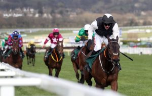Flooring Porter: Stayers' Hurdle champion has not completed on his last two starts, but did win this last year.