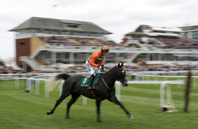 Cheltenham day three trends. Flying Angel could post a big run in the day three finale.